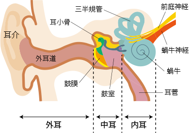 耳で生じる様々な症状