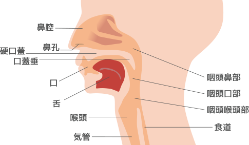 口腔・咽頭・喉頭で生じる様々な症状