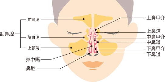 鼻で生じる様々な症状