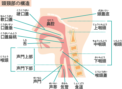 その他の頸（くび）から上の範囲で生じる様々な症状